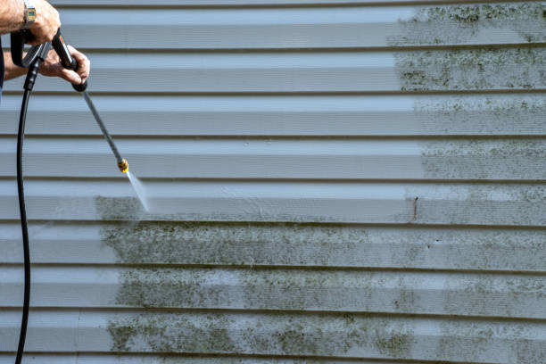 Best Custom Trim and Detailing for Siding  in Richwood, LA